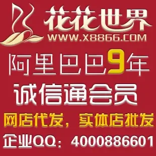 Guangzhou Chengfang Trade Co., Ltd. - Clothing reference image 1