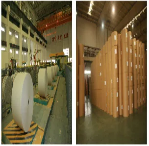 Guangzhou Jinxiangsheng Paper Industry Co., Ltd. - Packaging & Printing reference image 2