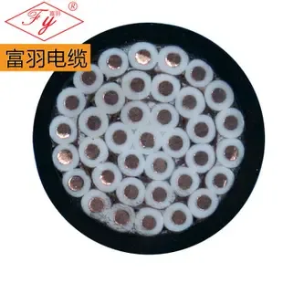 Guangzhou Fuyu Cable Industry Co., Ltd. - Electronics reference image 5