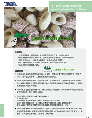 Guangzhou Lijing Trade Co., Ltd. - Electronics reference image 2