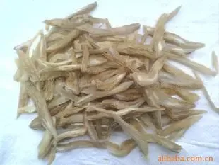 Guangzhou Fubao Tang Biotechnology Co., Ltd. - Pharmaceuticals & Healthcare reference image 1