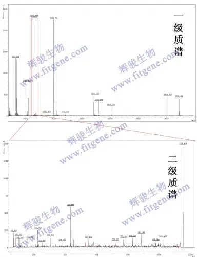 Guangzhou Huijun Biotechnology Co., Ltd. - Pharmaceuticals & Healthcare reference image 1