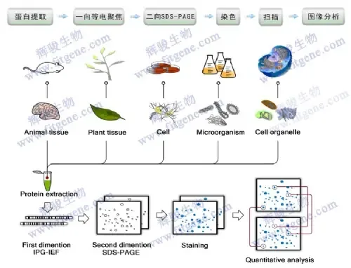 Guangzhou Huijun Biotechnology Co., Ltd. - Pharmaceuticals & Healthcare reference image 2