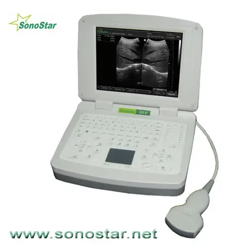 Guangzhou Suonoxing Technology Co., Ltd. - Pharmaceuticals & Healthcare reference image 4