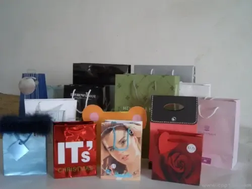 Guangzhou Shengxiang Bag Manufacturing Co., Ltd. - Packaging & Printing reference image 1