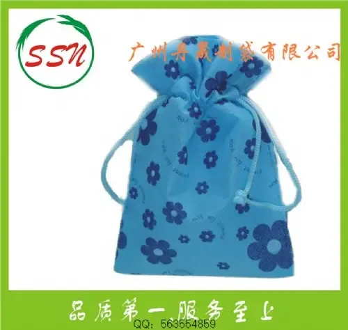 Guangzhou Dansheng Bag Manufacturing Co., Ltd. - Packaging & Printing reference image 3