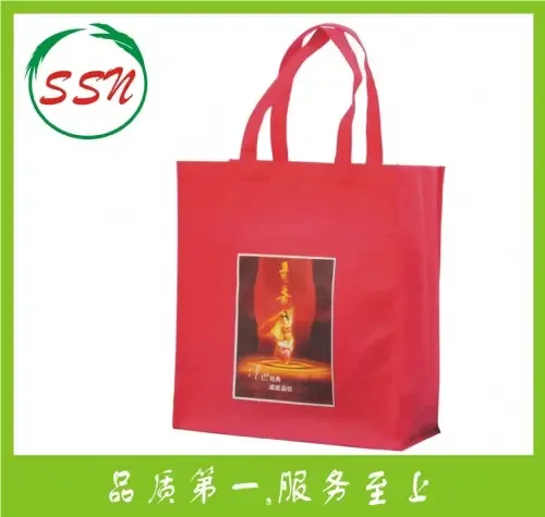 Guangzhou Dansheng Bag Manufacturing Co., Ltd. - Packaging & Printing reference image 5