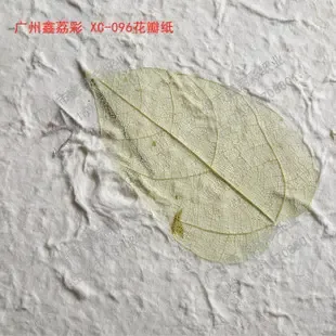 Guangzhou Xinli Cai Paper Industry Co., Ltd. - Packaging & Printing reference image 1