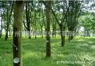 Guangzhou Jiadali Chemical Co., Ltd. - Packaging & Printing reference image 2