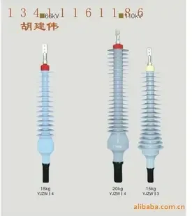 Hu Jianwei - Electronics reference image 3