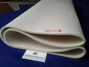 Guangzhou Ruifu Te Import and Export Co., Ltd. - Clothing reference image 5
