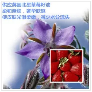 Guangzhou Nuoran Biotechnology Co., Ltd. - Chemicals reference image 1