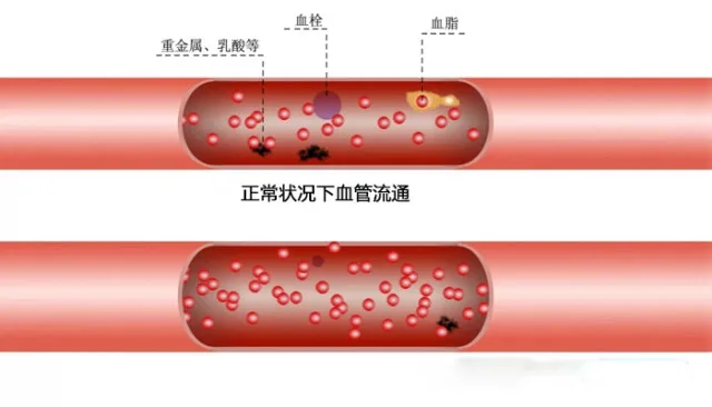 Guangzhou Nandu Electronic Technology Co., Ltd. - Pharmaceuticals & Healthcare reference image 2