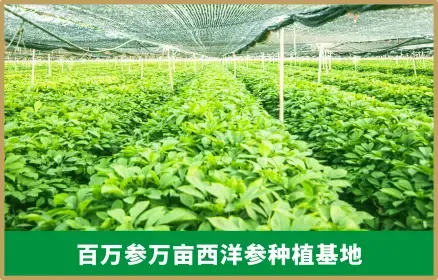 Guangdong Guangji Shenrong Network Technology Co., Ltd. - Pharmaceuticals & Healthcare reference image 6